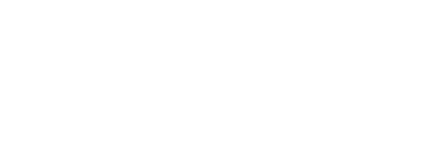 Palmetto State Literacy Association